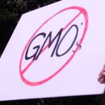 NO GMO sign at March Against Monsanto, DC, 2013 - Credit: JTMP