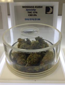 noshaq kush display 2 president bill clinton a lot of evidence for the medical marijuana thing