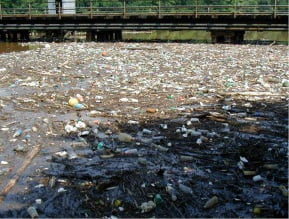 Polystyrene Foam Food Containers Littering Anacostia River, DC - Photo Credit: Clean Water Action Fund.