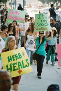 Pro-medical cannabis activists - Photo credit - O'Dea/CC)