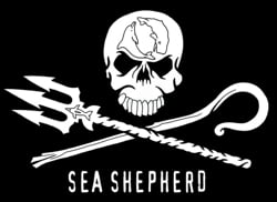 Sea Shepherd flag2 war against whaling rages on