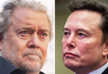 Musk Says: Steve Bannon Soon To Be Back In Prison Musk Says Bannon Going To Prison