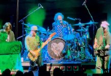 Neil Young Slams Trump With New Song: Big Crime